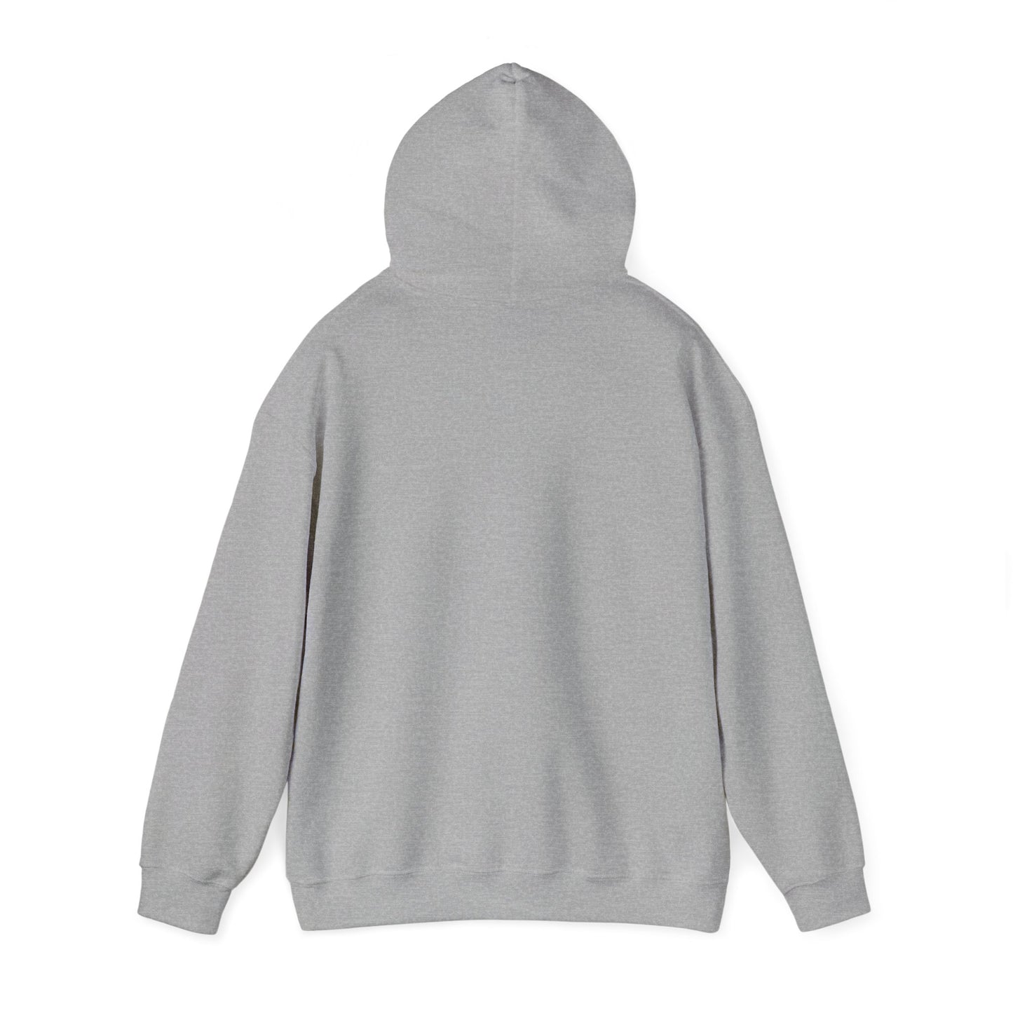 Minimalistic Style Hoodie